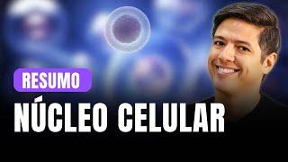 NÚCLEO CELULAR - RESUMO PARA PROVA - Prof. Kennedy Ramos