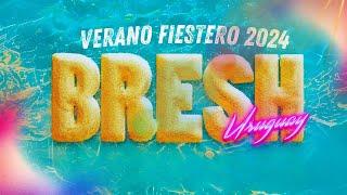 BRESH ️ VERANO FIESTERO 2024 - 2025  SET ENGANCHADO MEGA JODA FIESTERO -  NOVIEMBRE 2024  DJ GAB