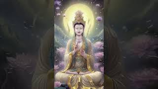 慈悲之心 #SarnathTW