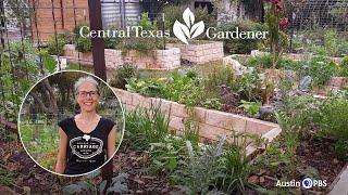 Permaculture Design: Raised Beds and Food Forest