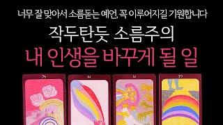 [타로]작두주의조만간 내 인생을 바꾸게 될 일곧 일어날 일•연애운•행운을 올려주는 꿀팁들까지