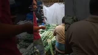 Kolkata flowers  market ️️