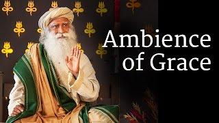 Ambience of Grace | Sadhguru