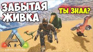 ПРО ЭТУ ЖИВКУ ЗАБЫЛИ в ARK? Компи, Пелагорнис, Археоптерикс - Ответ от АРКЕРА ДИЕГО! Хроники АРКа #3