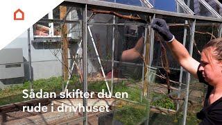 Sådan skifter du glas i drivhuset