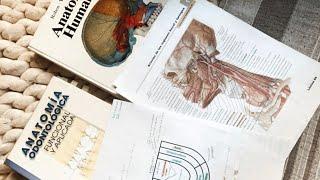 ANATOMIA | que és, como hice para aprobarla, tips, consejos 