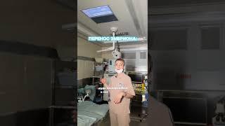 РЕПОРТАЖ ИЗ ОПЕРАЦИОННОЙ. ПЕРЕНОС ЭМБРИОНА.