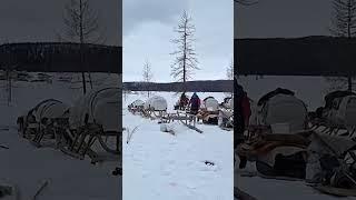 Как кочуют оленеводы Крайнего Севера