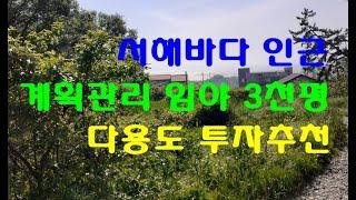 서해바다가 멀리 보이는 다목적 투자용 임야  3천평 당 20만원