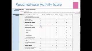 cre-lox and cre recombinases in Mouse Genome Informatics: worksheet module 2