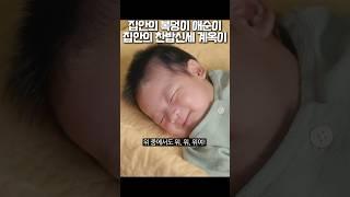 집안의 복덩이 애순이 집안의 찬밥신세 계옥이 #폭싹속았수다