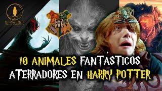 Los 10 Animales Fantásticos más Aterradores en Harry Potter