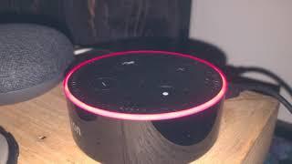 Alexa when it's not connected to the Internet 2020