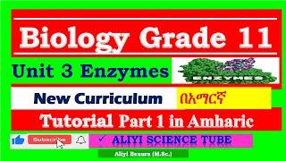 New Curriculum Biology Grade 11 Unit 3 Enzyme  Tutorial Part 1 in Amharic