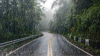 ️ Peaceful Rain & Thunderstorm Sounds ️ | Soothing White Noise for Deep Sleep & Relaxation