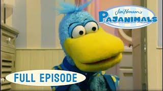 Pajanimals | Winning Isn't Everything / An Octopus Hug | Jim Henson Family Hub | Kids Cartoons