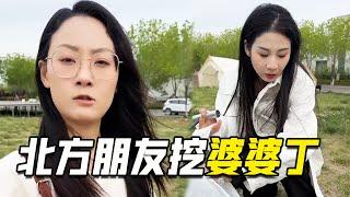 北方朋友挖婆婆丁，小白把它当杂草扔了，大姐瞬间不淡定了 【阳光姐妹淘】