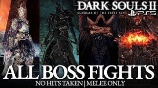 Dark Souls 2 - All Boss Fights & All Endings (No Damage)