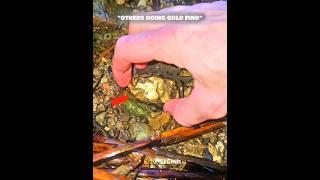 The Last Gold Find 