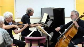 Louis Rowen in a Classical Music Trio