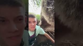 Man records the unbelievable moment he comes face-to-face with a massive bear inside its own den