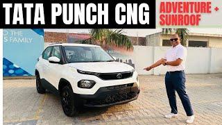 Tata Punch CNG Adventure + Sunroof Walkaround | In English | Auto Quest