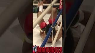 Knockout Right Straight Krush 3 - Daizo Sasaki vs Yuki Hayano #krush #knockout #rightstraight