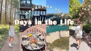 DAYS IN THE LIFE! | Mendocino getaway, what we ate, relaxing + exploring! 