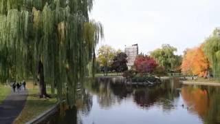 Boston Public Garden - Boston