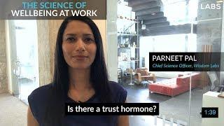 Is there a trust hormone? | The Science of Wellbeing at Work #4