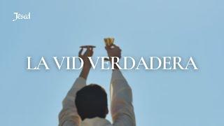 La Vid Verdadera (Juan 15, 1 - 15) - Jésed