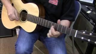 Breedlove Parlor Guitar, Wolfe Guitars