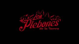 El Corrido de Ponchon - Los Plebones de la Sierra (EN VIVO)