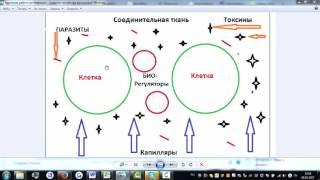 САД ACLON Механизм работы флуревитов Шамиль Низаметдинов-лидер ACLON