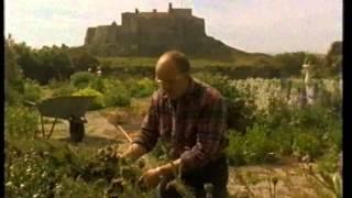 A Year On Holy Island 1995