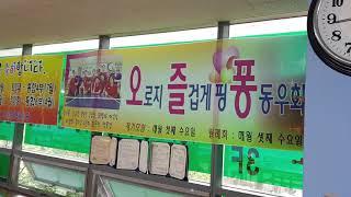[대구핑퐁TV] - 대구 달서구 안샘탁구교실