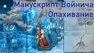 Манускрипт Войнича разгадан! Найден скрытый обряд опахивания от демонов.  ТАЙНА ЖЕНСКОЙ ЛОГИКИ.