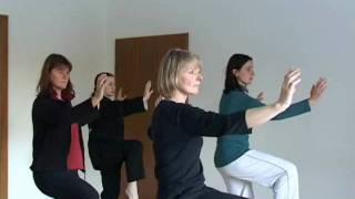 Yang Tai Chi (Yang Zhenduo) Seminare DVDs 9