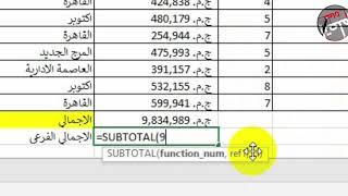 اكسل I دالة المجموع الفرعي Subtotal وجداول البيانات I اتعلم معانا