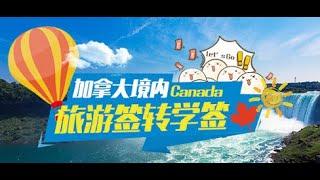 你不了解的加拿大旅转学签证