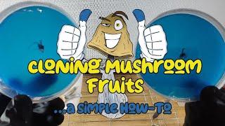 Cloning a Mushroom Fruit.::. A Simple How-To.::. #mycology #mushroom #cultivation #cloning