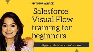 Salesforce Visual Workflow Training for beginners: Flow Screen Element: Building a Simple flow