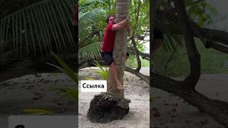 ️Михалыч летит тестировать #diy #дом #дача