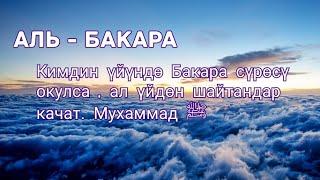 2 - Сүрөө. Аль - Бакара сүрөөсү. Кыргызча Мааниси.