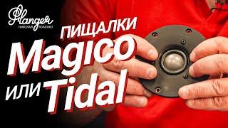 Конструкция высокочастотного излучателя Magico S5. Кто лучше Magico или Tidal?