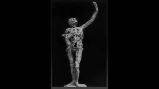 Test the Reaper  - The Canticle of Crom ( from the `Culpeper's Dream' Soundtrack)
