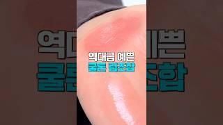 너무 예쁜데...? 역대급 립조합 추천쿨톤 메이크업 추천템🩷