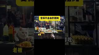 #猫meme小剧场 #猫meme #猫meme搞笑剧情 #猫meme剧场