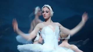 St Petersburg Ballet Theatre's Swan Lake