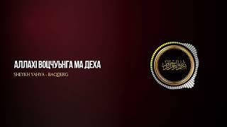 Шейх Яхья | Нахана бакъдерг  дIадийца`